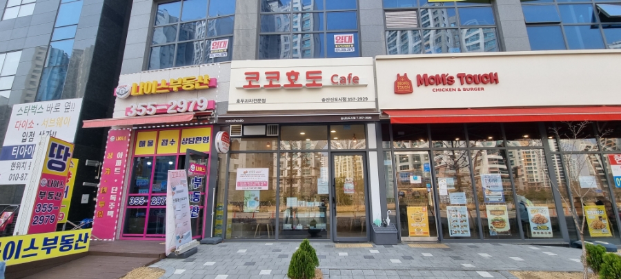 코코호도안산 이미지