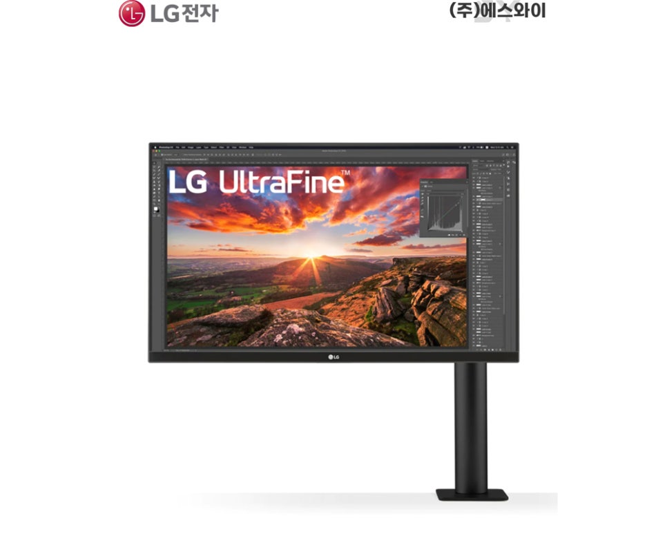 더에스와이 주식회사 이미지