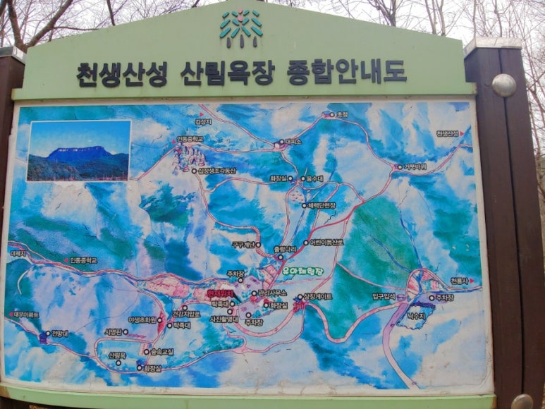 천생산성 유아숲체험원 이미지