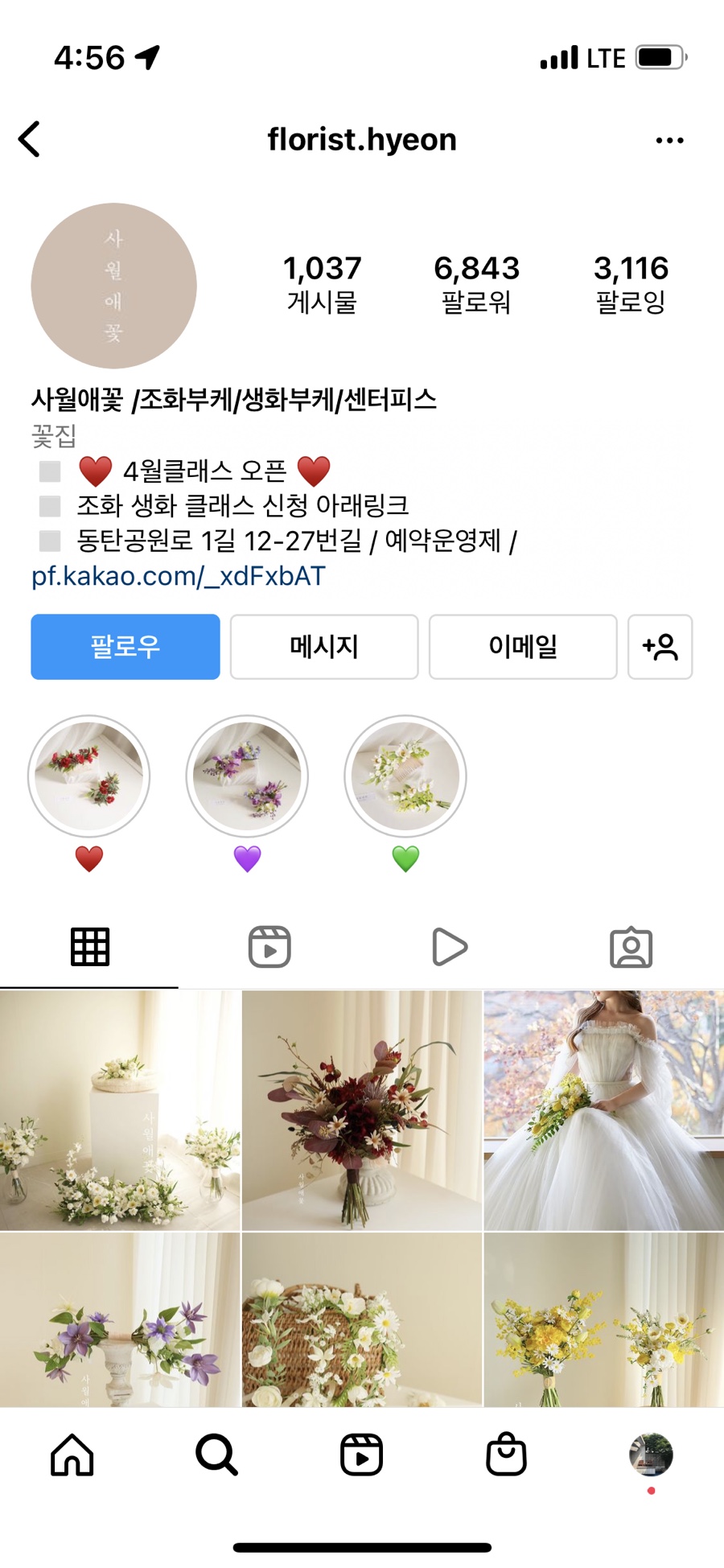 사월애꽃 이미지