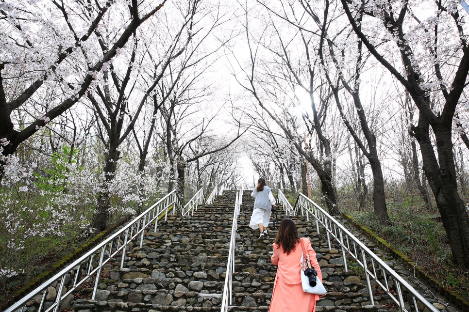 침산공원 이미지