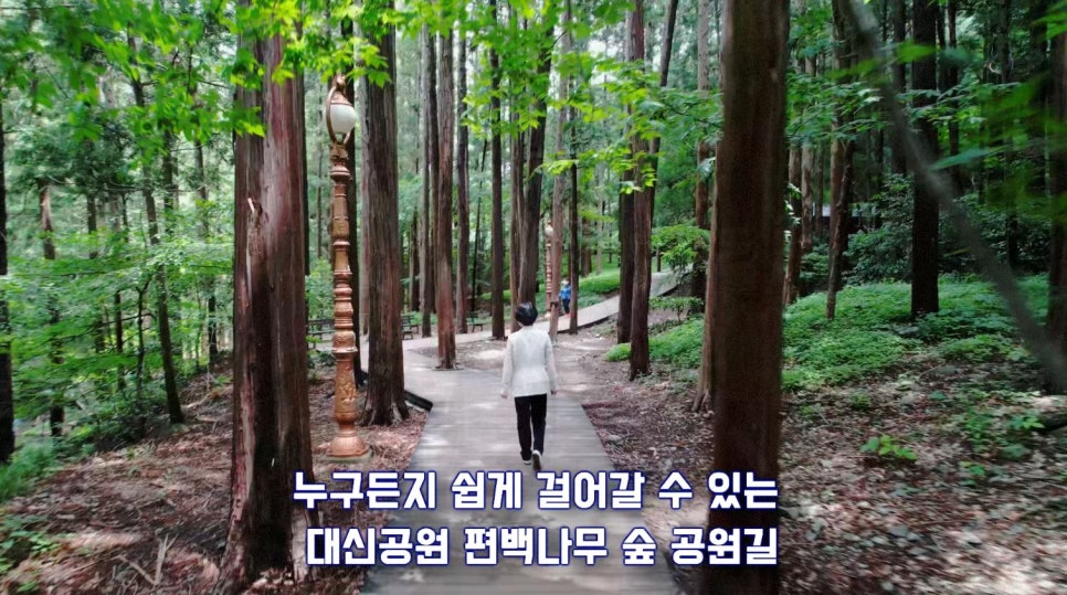 나무병원건강한숲 이미지