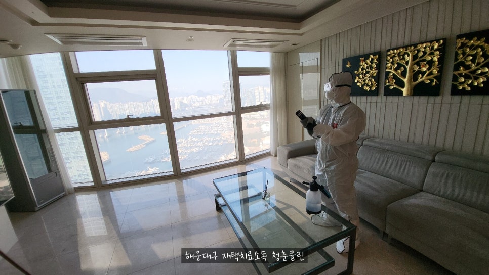 청춘청소방역 이미지