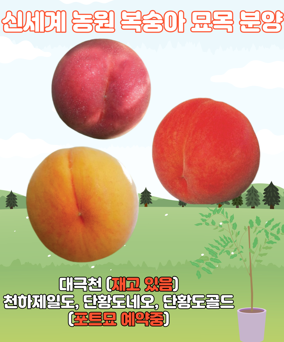 신세계농원 이미지