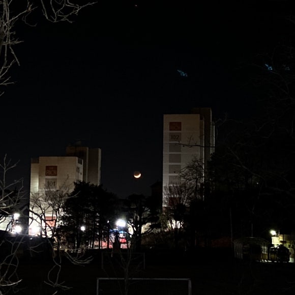 피제이피자 익산점 이미지