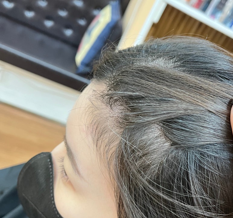 더엘헤어 이미지