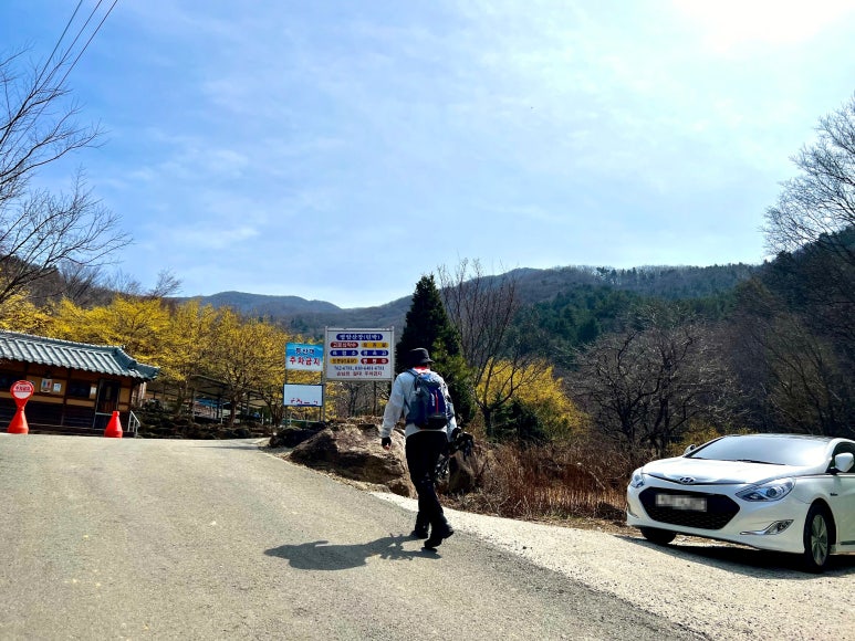 진틀펜션캠핑장 이미지