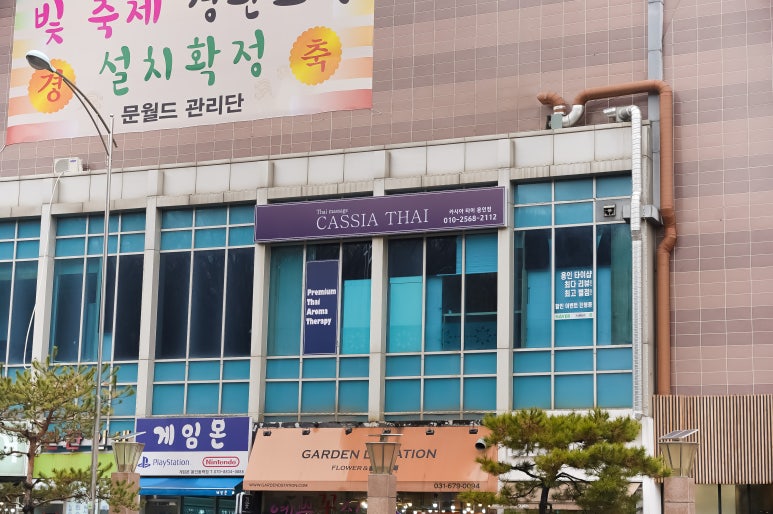 카시아타이용인 이미지