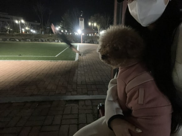 롯데리아서산 이미지