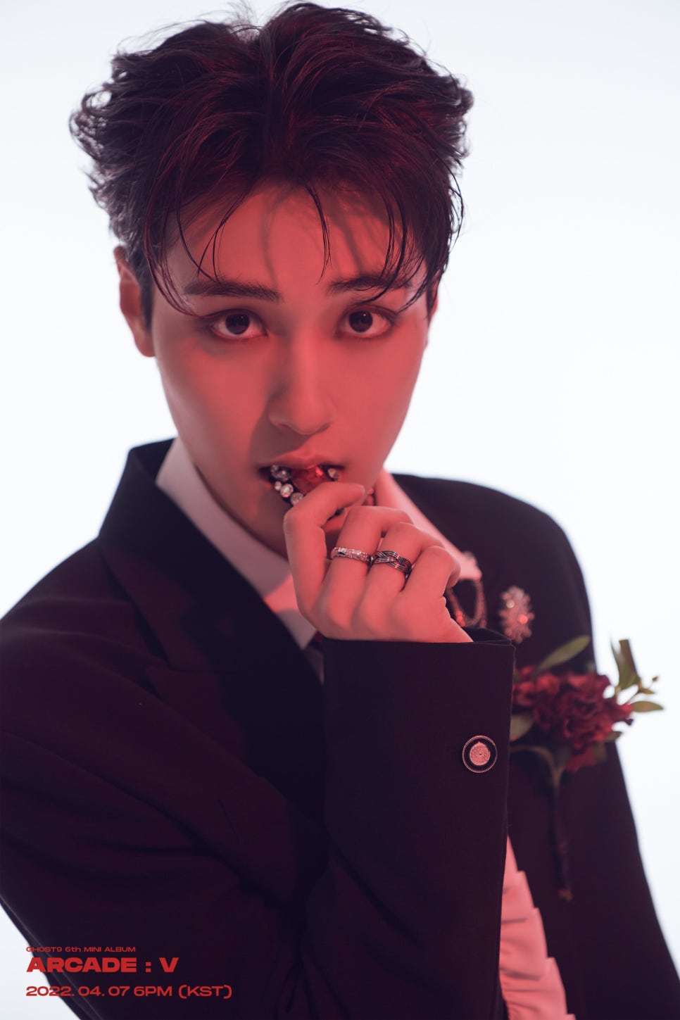 나인컨셉 이미지