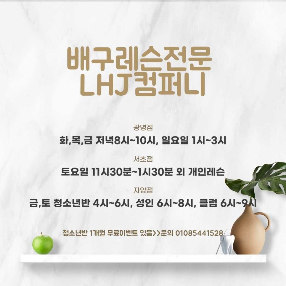 배구레슨전문LHJ컴퍼니 이미지