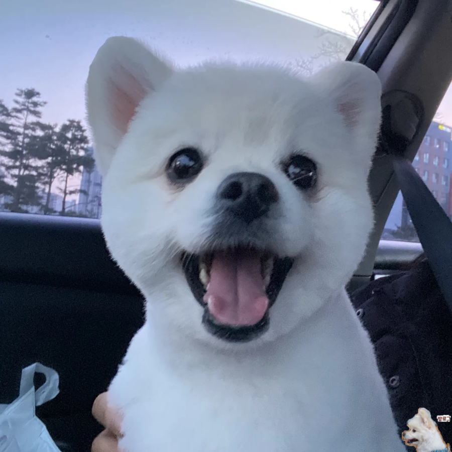 오군곱창 이미지