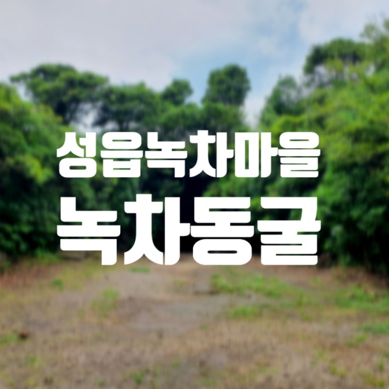 성읍녹차마을영농조합법인 이미지