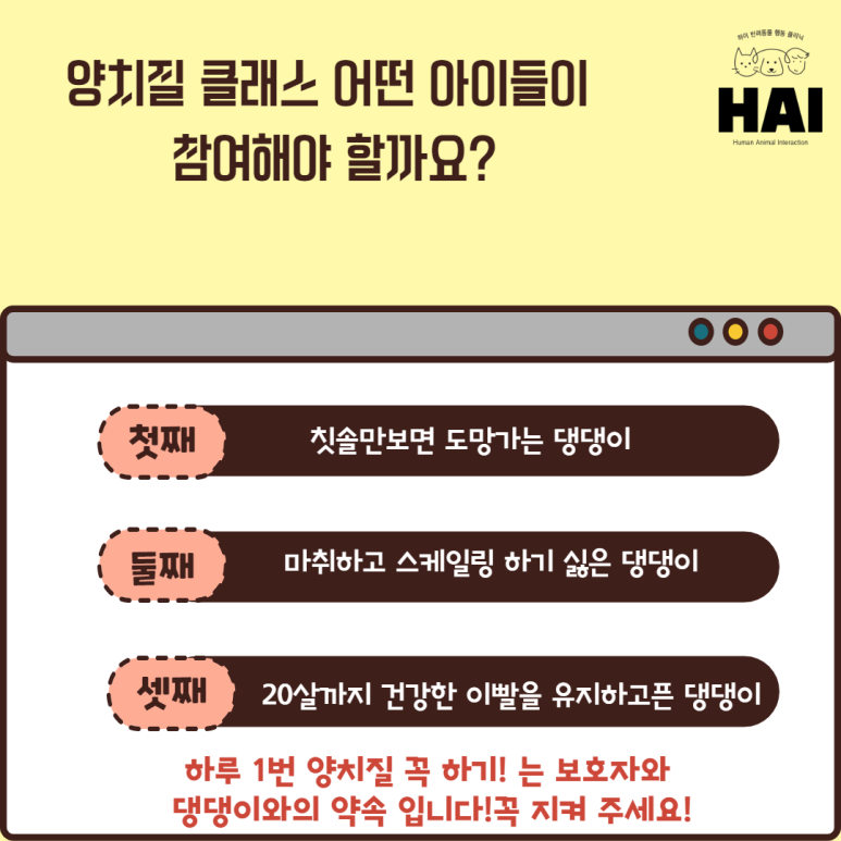차이나클래스 이미지