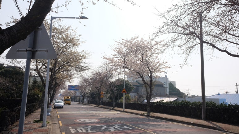 그루상조 이미지