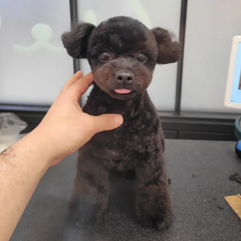 미용타운 이미지
