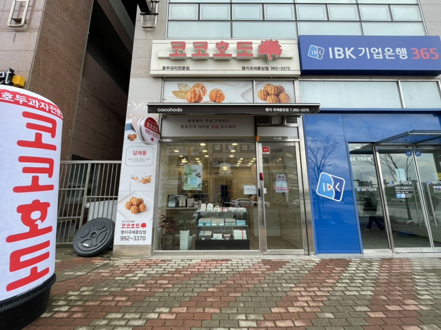 코코호도명지국제 이미지