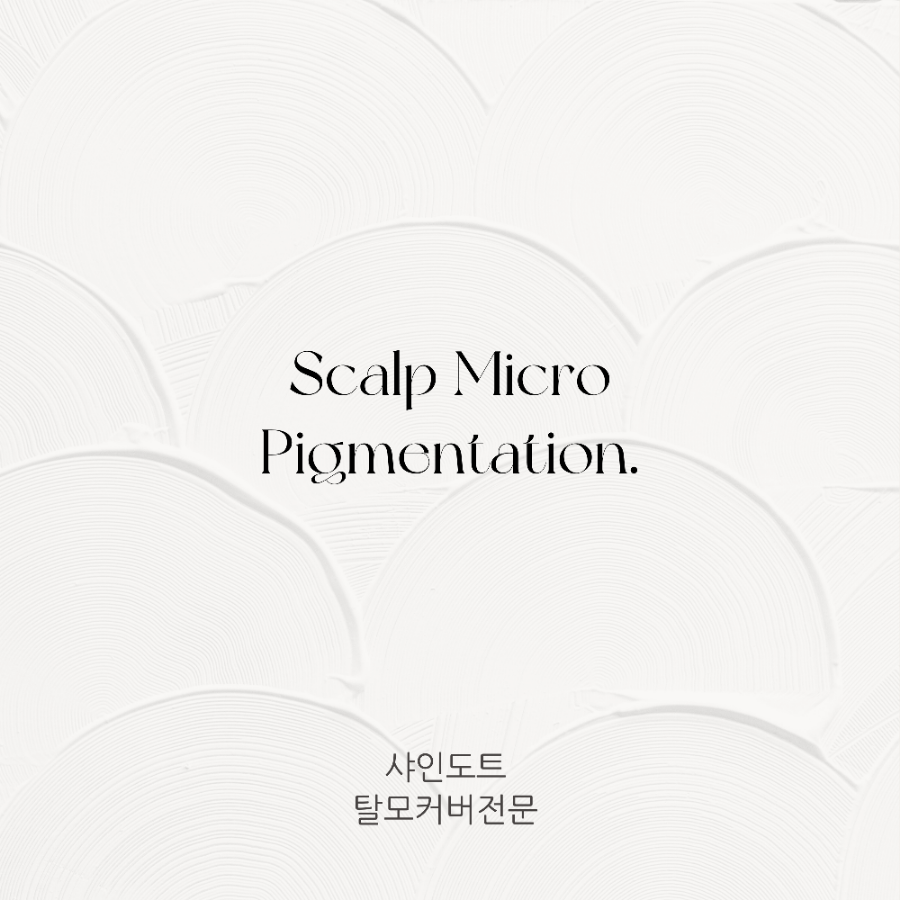 샤인도트 이미지