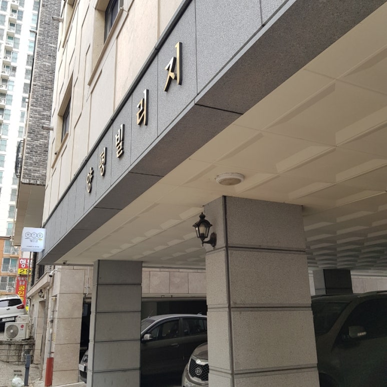 위즈덤케이크 이미지