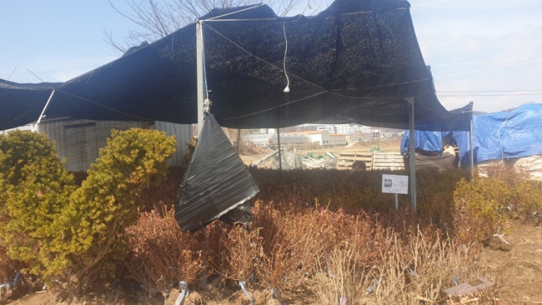 강화군 산림조합 이미지
