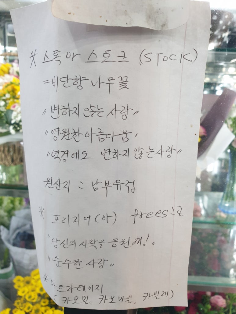 호산나플라워 이미지