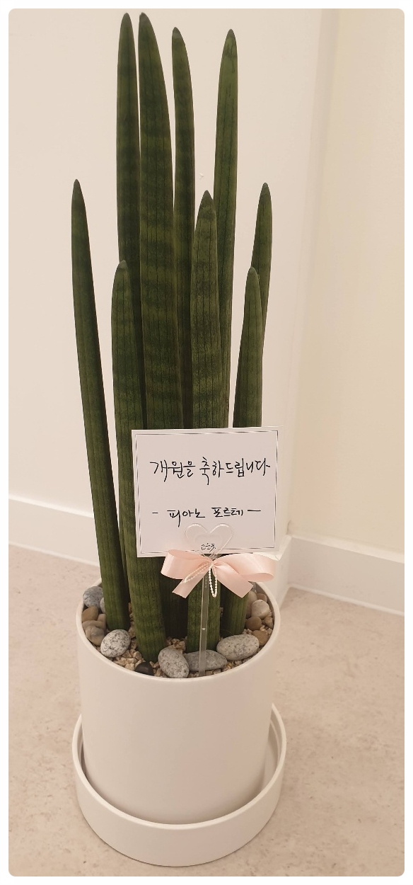 리엘음악학원 이미지