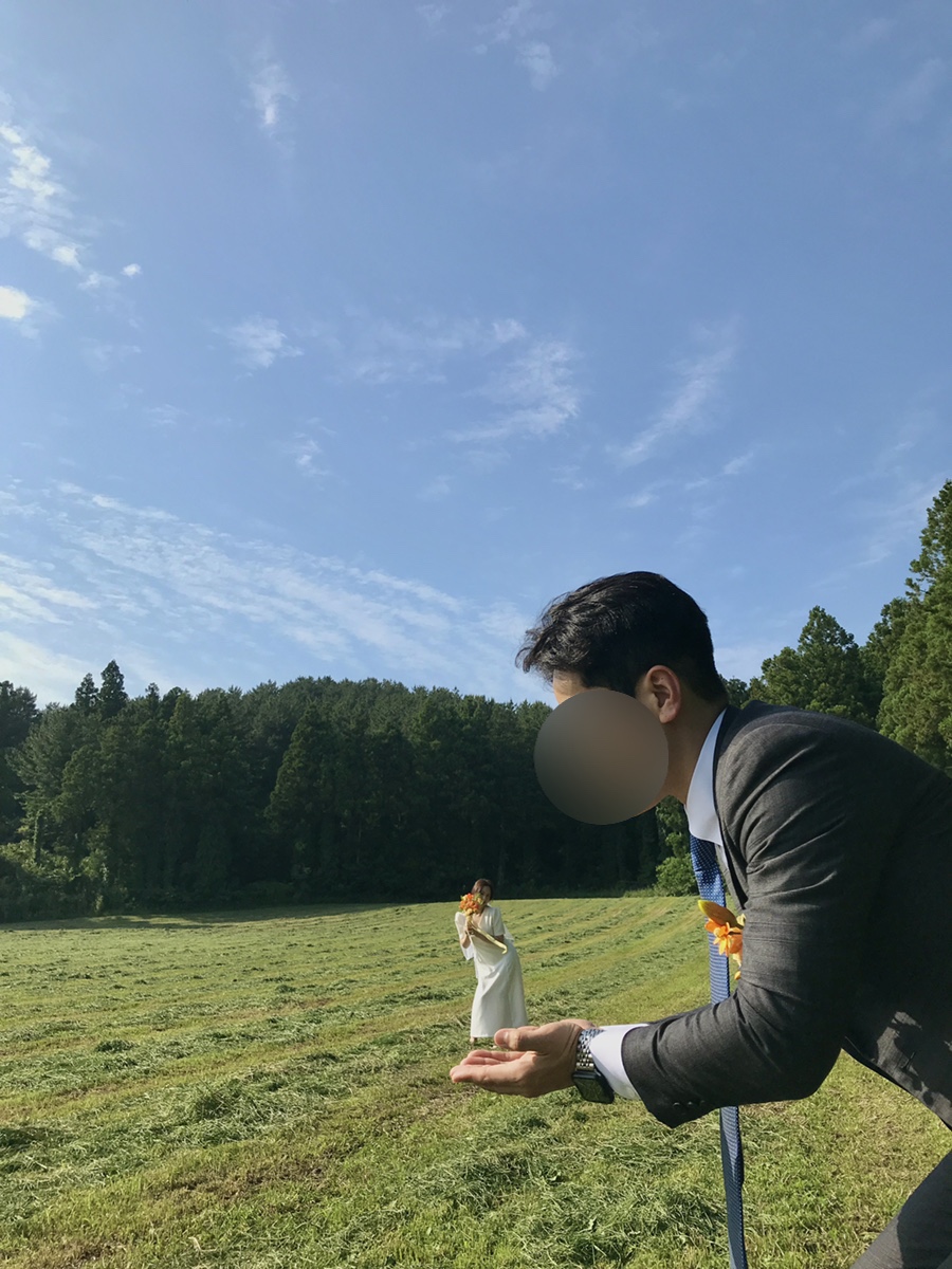 사월애꽃 이미지
