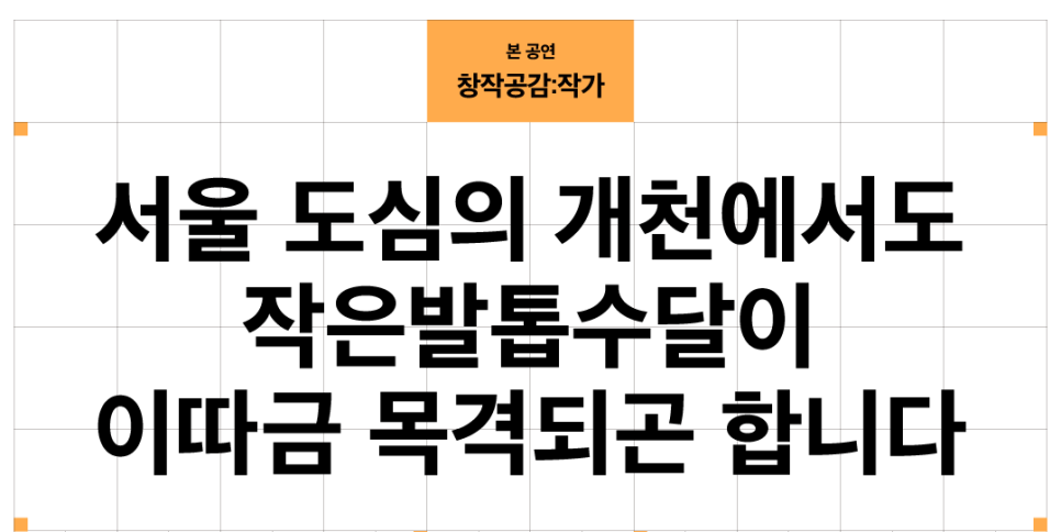 수달레져 이미지