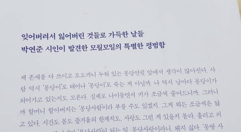 모월모일 이미지