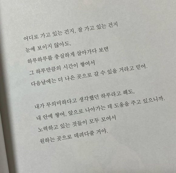 도토 이미지