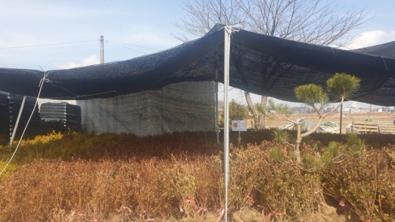 강화군 산림조합 이미지