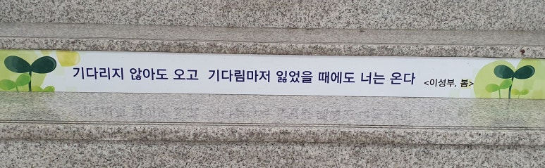 봄삼 이미지