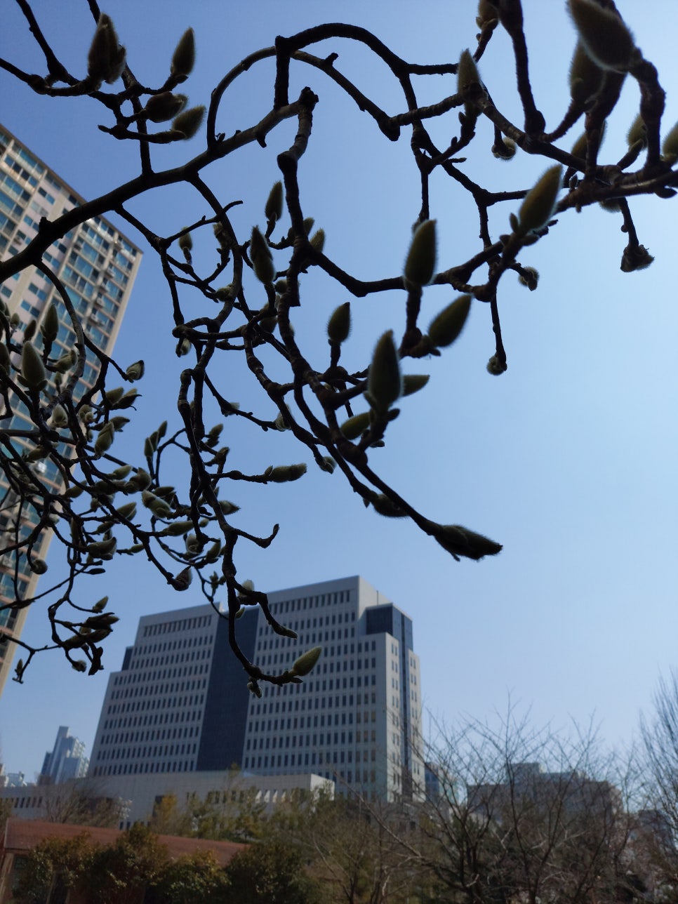 삼익세무회계사무소 이미지
