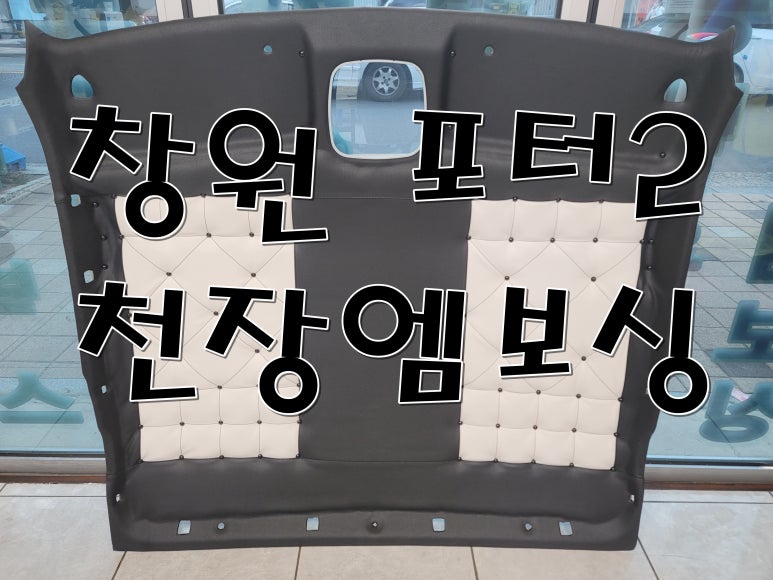 다이노스카 이미지