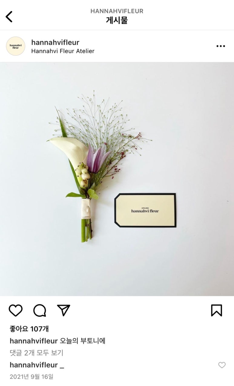한나비플뢰르 이미지