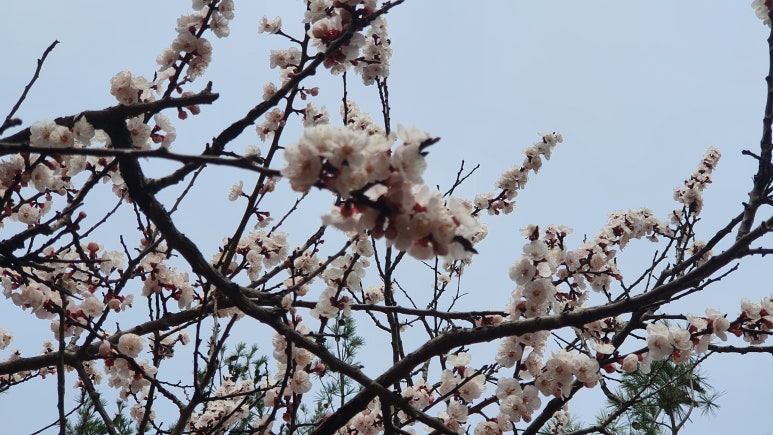 태성카센타 이미지
