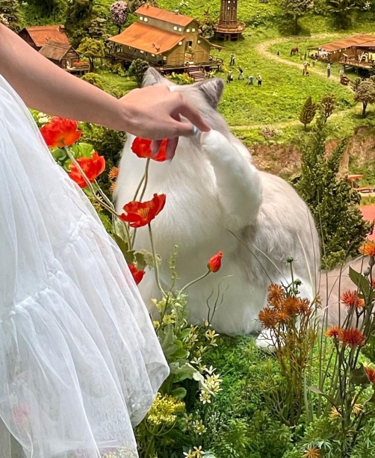 젠틀모바일 이미지