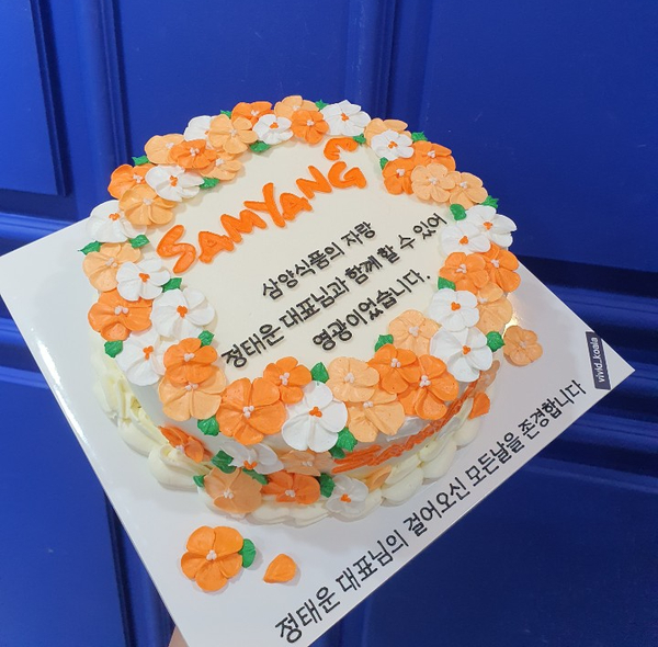 비비드코알라 이미지