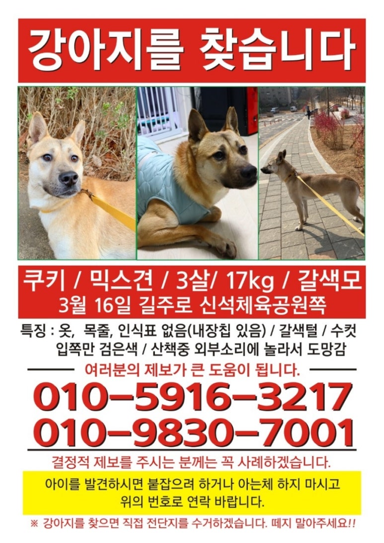 신석 이미지