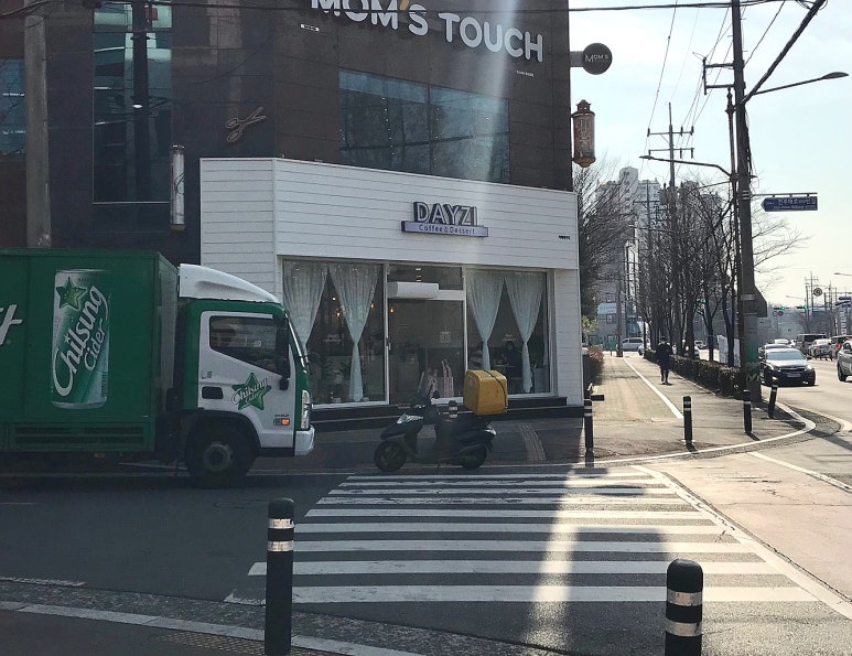 데이지(Dayzi) 이미지