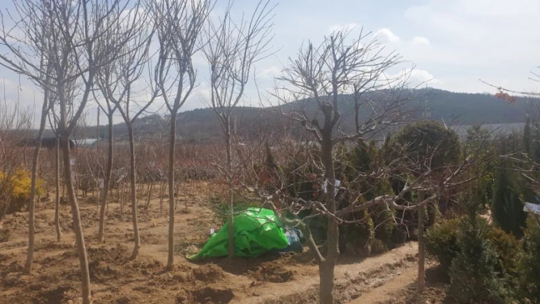 강화군 산림조합 이미지