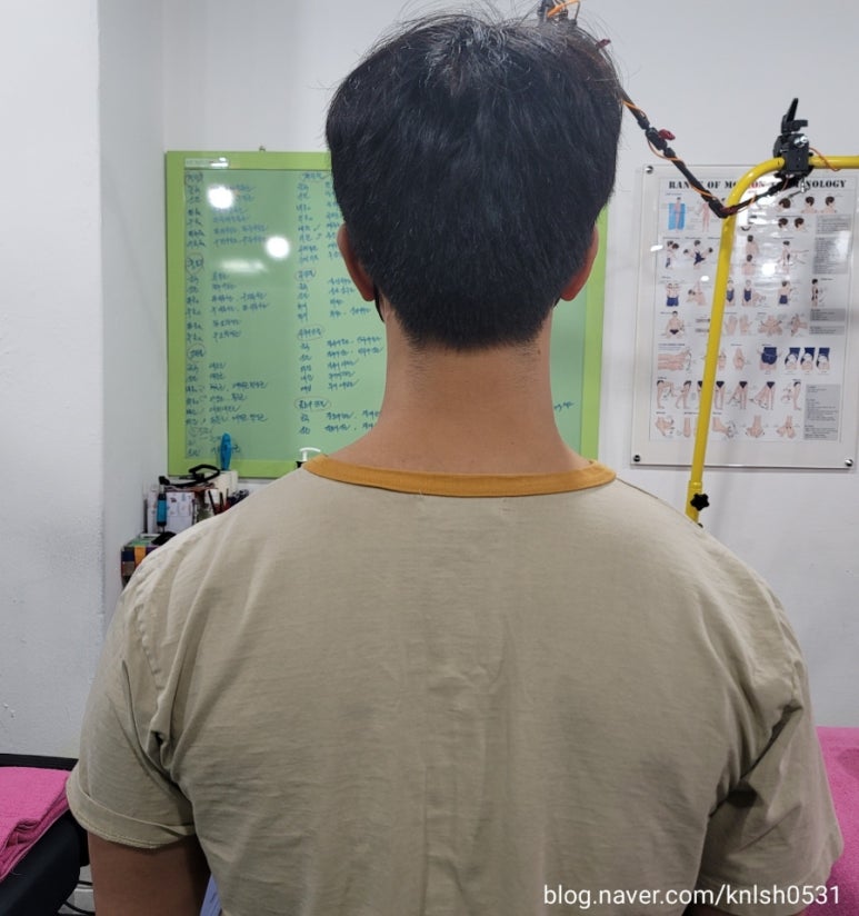 삼손스포츠수기명가 이미지