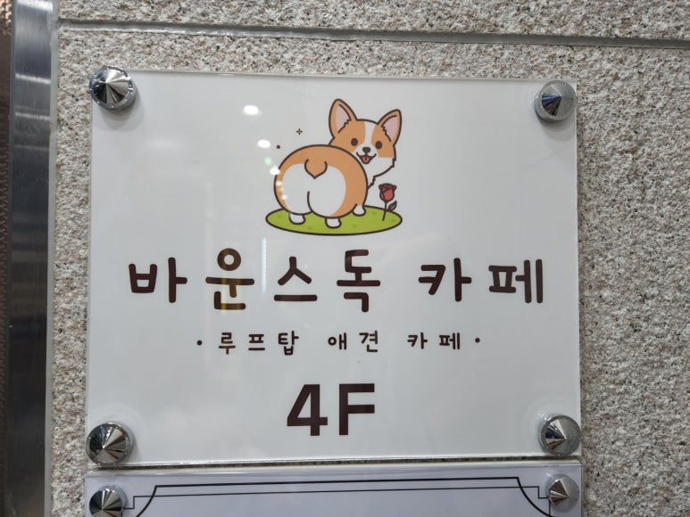 바운스독카페 이미지