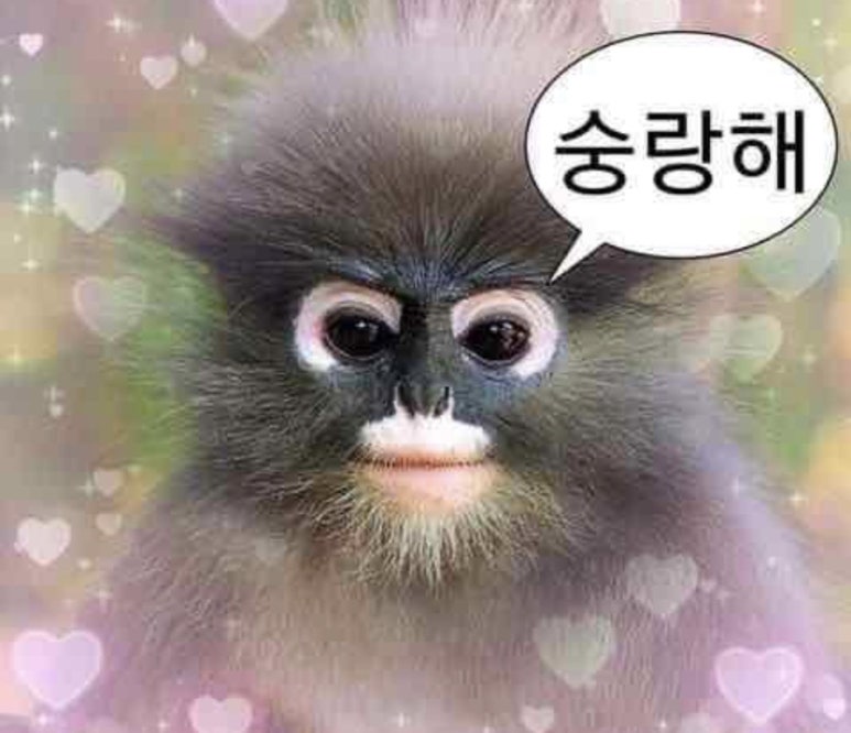 샤브야샤브 이미지