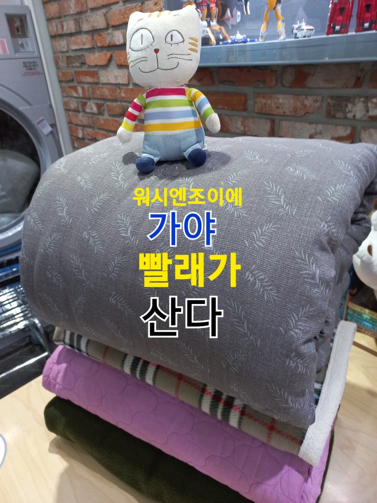 워시엔조이 이미지