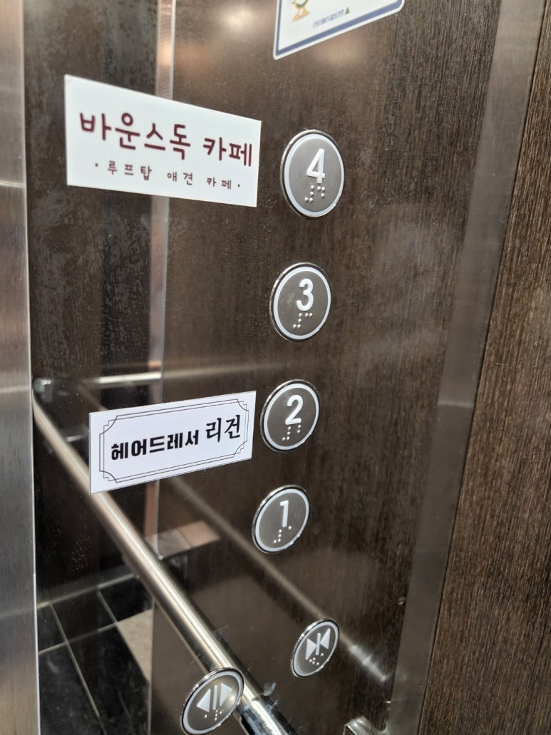 바운스독카페 이미지