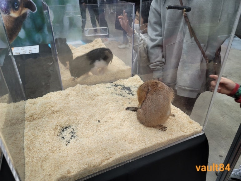 한국이색반려동물박람회 이미지