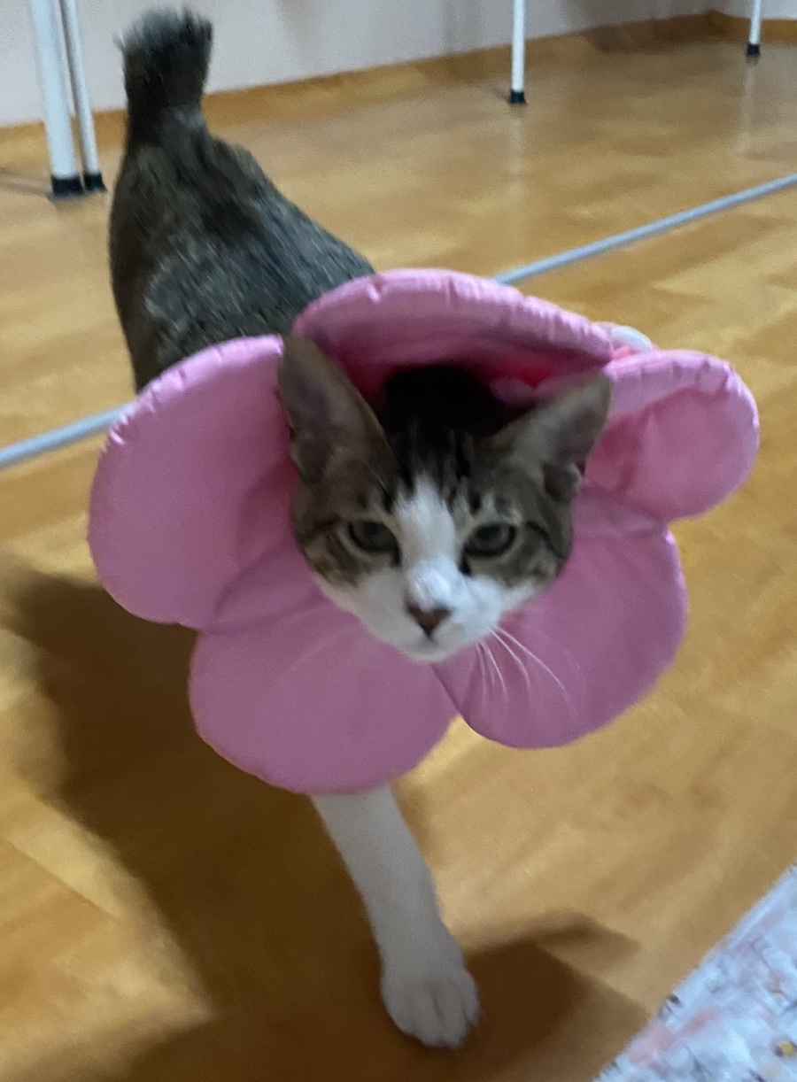 119야식 이미지