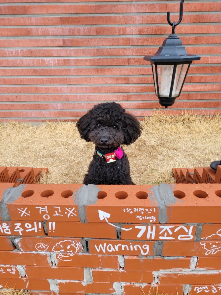 서원컴퍼니 이미지
