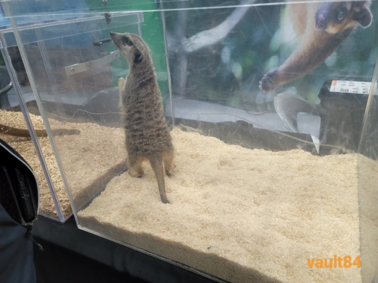 한국이색반려동물박람회 이미지